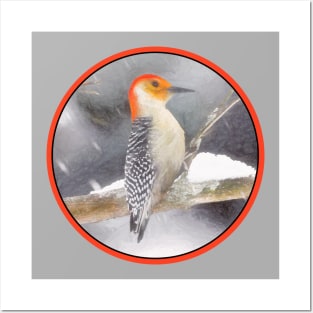 Red-Bellied Woodpecker Posters and Art